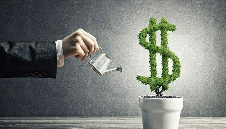 Let The Money You Invest Grow Well